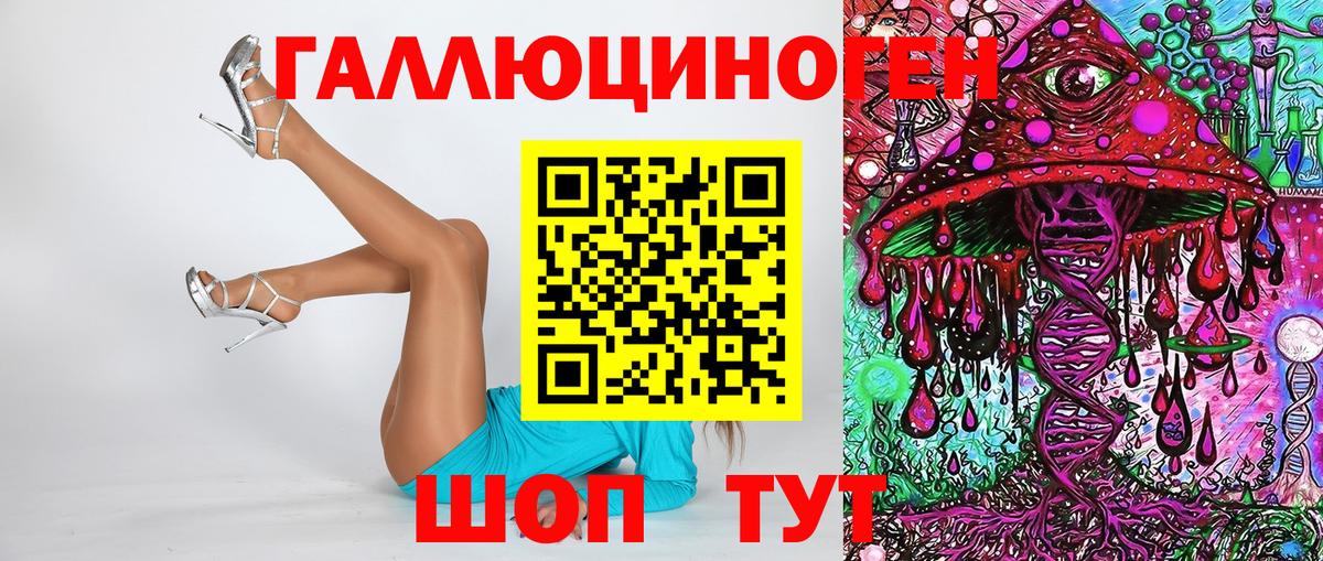 Галлюциногенные грибы Psilocybe Люберцы