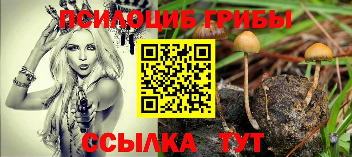 Люберцы  Галлюциногенные грибы MAGIC MUSHROOMS  Вход с VPN  Галлюциногенные грибы мицелий 